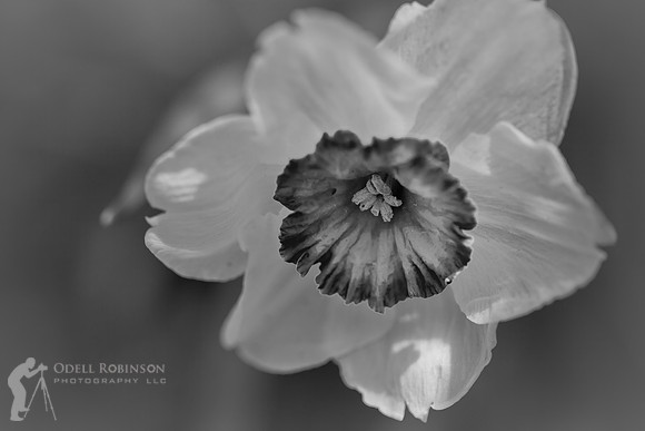 untitled-1-2