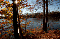 Thompson Park-6