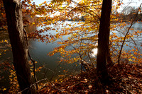 Thompson Park-7