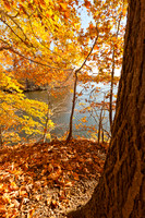 Thompson Park-5