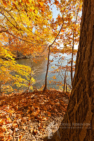 Thompson Park-5