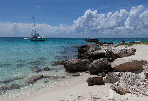 La Saona