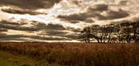 Thompson Park
