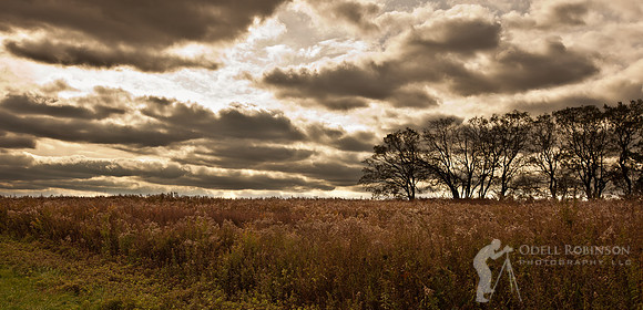 Thompson Park-1