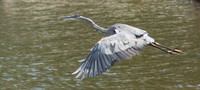 IMG_1578