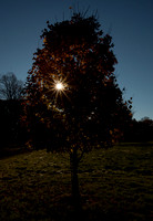 Thompson Park-4