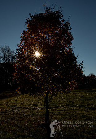 Thompson Park-4